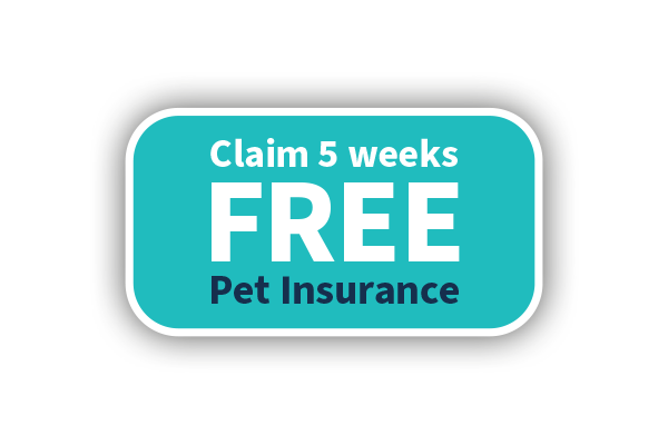 5 Weeks Free_Button 01